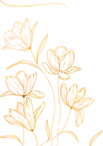bg image2