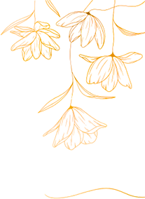 bg image1